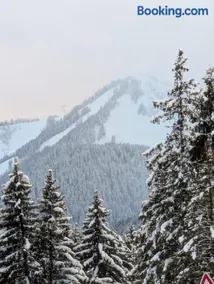 Les Portes du Soleil Studio - Image 4