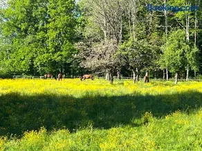 Les Bouloies, deux gîtes pour se réunir en toute tranquillité loin de l'agitation - Image 3