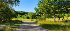 La Fustière Haute - Gîte Gaston - Image 4