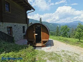 Apartments Petek - Image 1