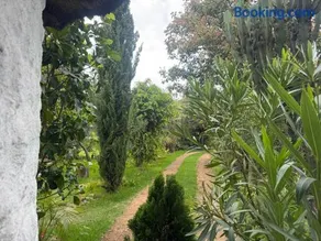 Podocarpus cottages - Image 4