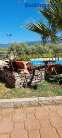 Uliveto Garden - Image 5