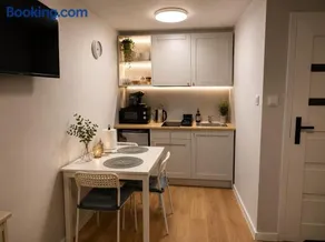 Róża Wiatrów Leśny Klif - Image 1
