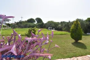 Kokkinia Gardens - Image 5