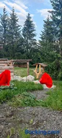 Mlyn Tatry Resort - Image 4