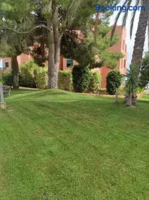 Los Altos Sierra cortina - Image 1