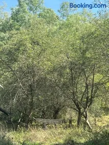 Stillwood Retreat-Off-Grid Nature Escape - Image 3