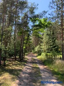 Bungalow im Wald - Image 1