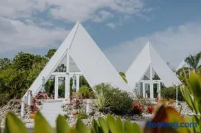 Pyramids in Florida - Image 3