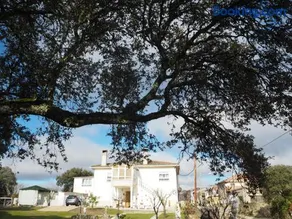 Villa Entre Encinas - Image 1