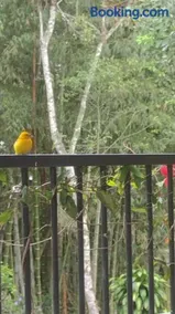 Finca Santa Marta, descanso y naturaleza en Albán Cundinamarca - Image 2