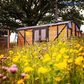 Under the Oak Glamping - Image 2