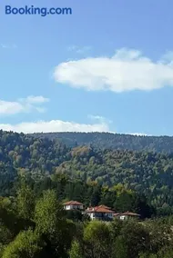 Вили Green - Image 1