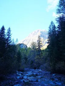 Chalet Le Trient - Image 2