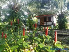 สบายคันทรีรีสอร์ท ปากเมงSa-buy country resort Pak Meng - Image 2