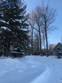 Cottage apartments at Lake Huron - Image 4