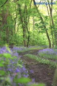 Rockinghams Farm - Image 4