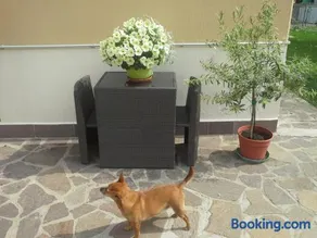 B&B Ciccilia - Image 1