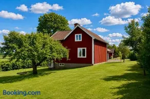 House with 8 beds in Fornasa - Image 3