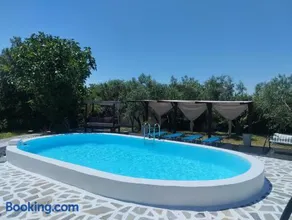 ΑΡΧΟΝΤΙΚΟ ΣΤΟΥΣ ΠΡΟΠΟΔΕΣ ΤΟΥ ΟΡΟΥΣ ΔΙΡΦΥΣ - Image 2