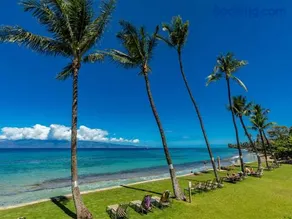 Paki Maui - Image 3