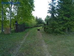 Agroturystyka na wsi w borach tucholskich - Image 4