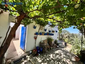 GP Cortijo Palmera - Image 5