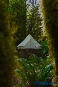 Wander Camp Olympic - Image 4