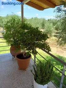 Maria apartment - Image 3