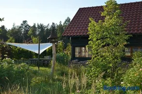 Morgi na Łebkach - Image 1