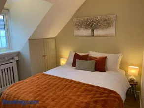 The Frog Langport Luxury - Image 4