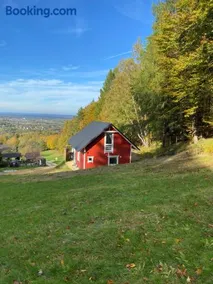 Forest house - Image 5