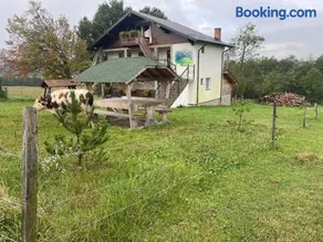 Casa Piscul Verde Vladeni - Image 3