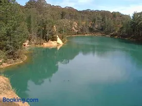 Forest View - Image 3