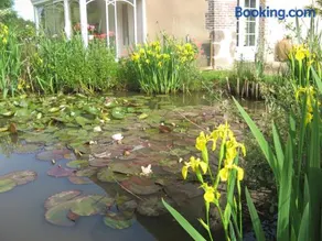 Coin de nature en Puisaye - Image 2