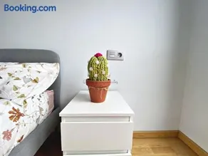 Viyago - Image 4