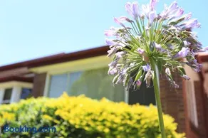 Sydney, Bexley North holiday home 3bedrooms, free parking, close to Train station and CBD - Image 2