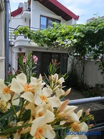 Casa Eladi - Image 3