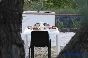 Bee Happy - Bed and Breakfast - Image 5