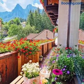 Amor Tirol Bușteni - Image 4
