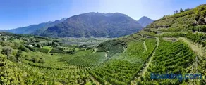 Casa il Glicine Valtellina - Image 4