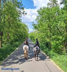 Penzion Horse Farm Lechovice - Image 2