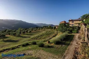 Agriturismo La Fontaccia - Image 2