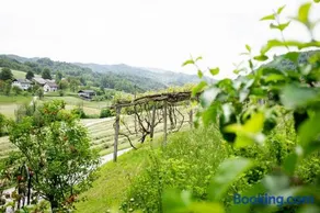Apartma Smithy (Kovačnica) - Image 4