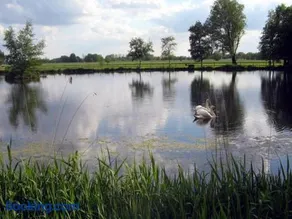 Ferienhof Am Birkensee 55125 - Image 5