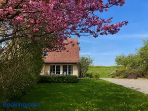 Landferienhaus Sonnenblume - Image 1