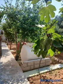 Artemis Villa - Image 4