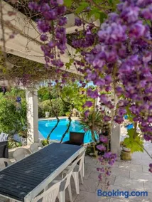 Ibis - villa avec piscine, jardin et parking - Image 3