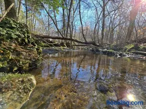 Cabin near Dogwood Canyon, Top of the Rock, Branson - Image 4