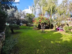 Galetta House - Image 2